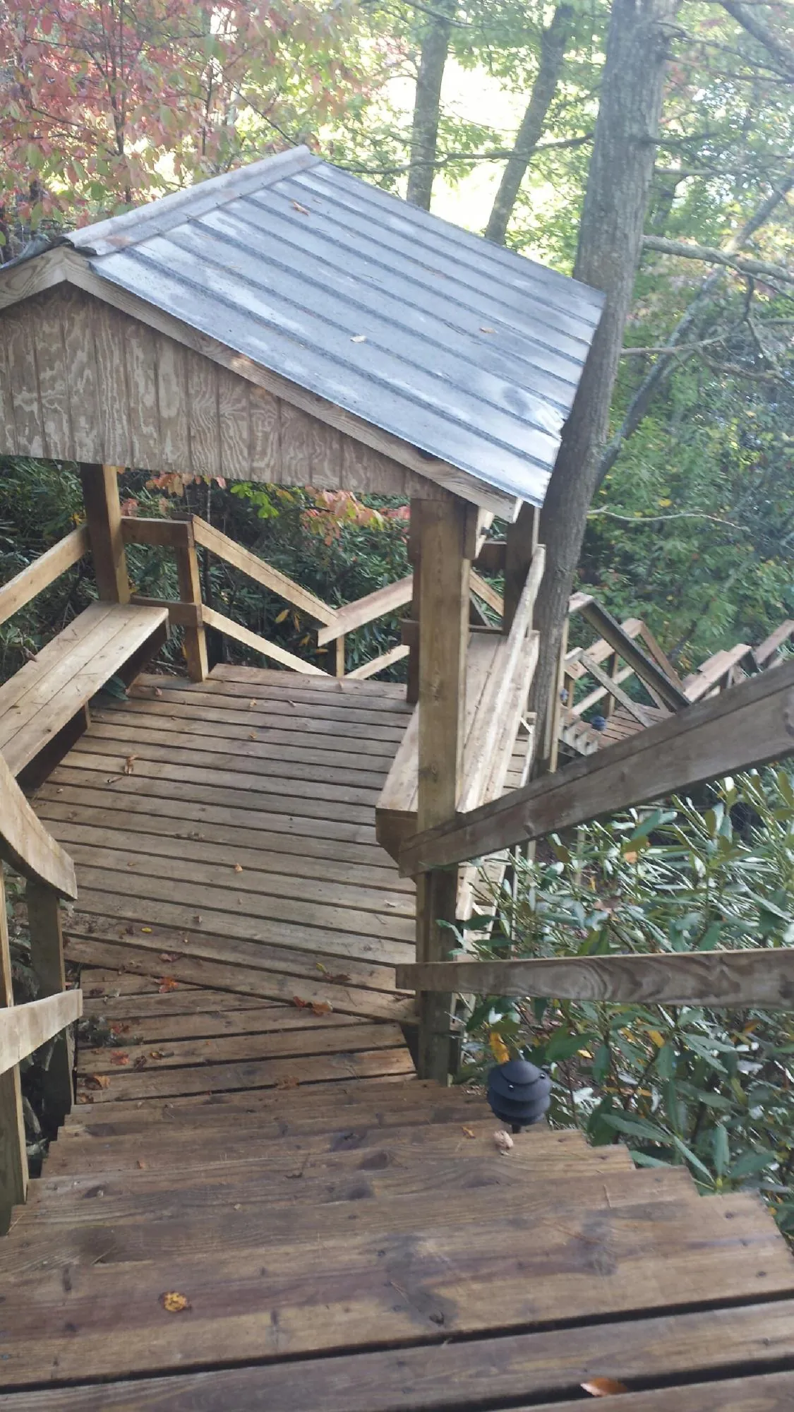 Metal roofed shelter over wooden steps on a wooded walkway — Skylight Repair & Installation work by our crew in Royal City